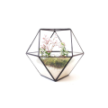 Round Clear Geometric Square Glass Hanging Terrarium